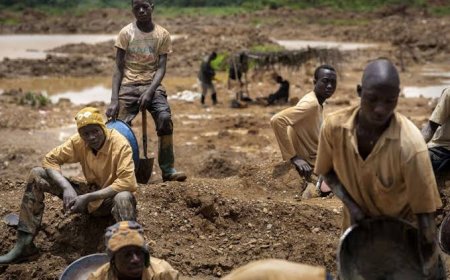 EXCLUSIVE:  How Desperate Politicians Sponsor Illegal Mining Activities in Cross River