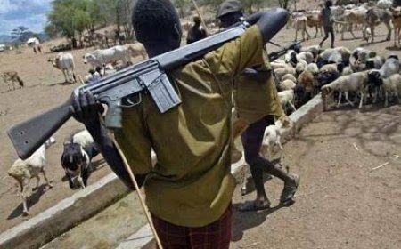 Ebonyi State: Many Killed As Suspected Herdsmen Attack Ebonyi Community
