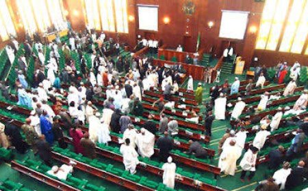 House Of Reps Propose Additional 31 New States In Nigeria