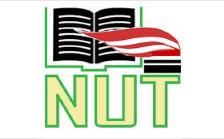 Teachers Salaries: Ebonyi State NUT Declares Strike As C' River Teachers Set for Show Down