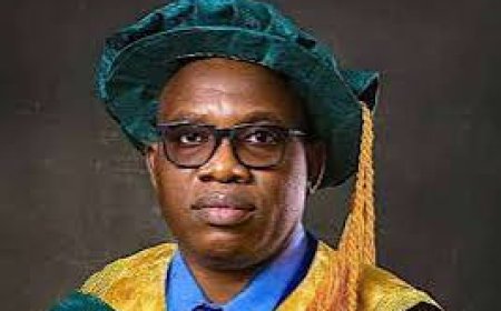 Sacked UNIZIK VC Sues Education Minister