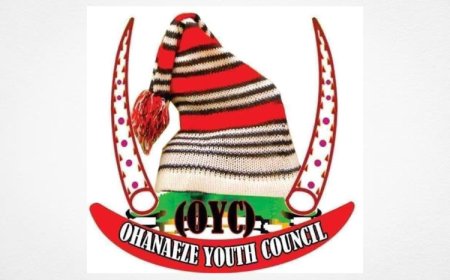 SOUTH EAST: Ohanaeze Youths Reject 5 Additional States For S’East