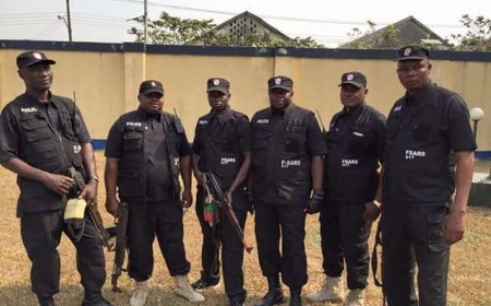 Nigerian Police Clarifies Alleged Return Of SARS