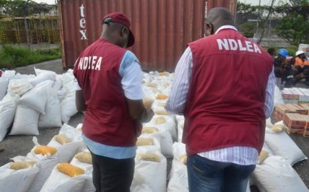 NDLEA arrests 799 suspects, seizes 2,000 kg of hard drugs in Akwa Ibom