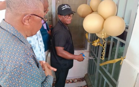 Dr Vigor Products Berth In Calabar
