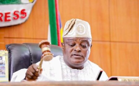 Why FG  Reinstated Impeached Lagos  Speaker