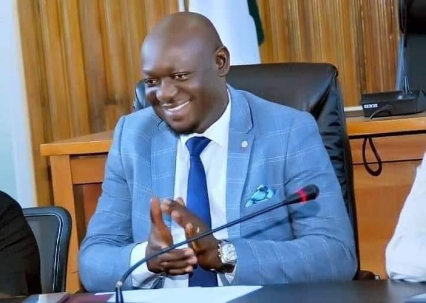 C'RIVER LAWMAKER RESTATES ASSEMBLY'S COMMITMENT TO IMPROVED HEALTHCARE