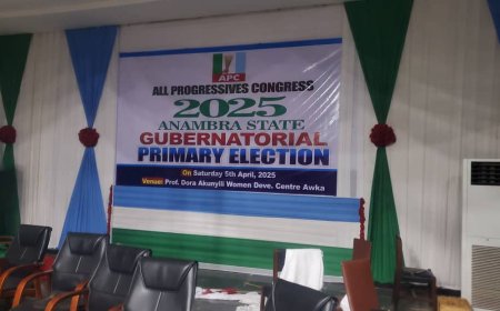 Anambra: Violence Mars APC Primary As Soludo, Moughalu Win APGA, LP Tickets