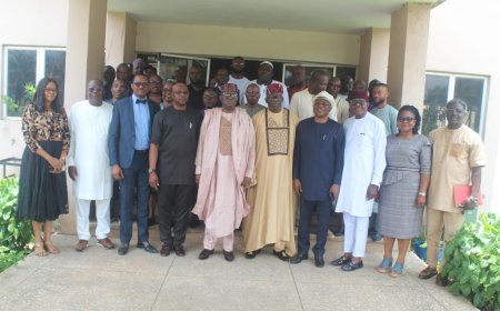 FG Mulls Strategies Against Soaring Food Prices