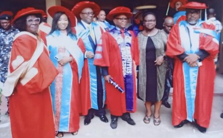 PERSONALITY INTERVIEW: I saw the investiture as Emeritus Professor coming, but didn't know when, Says Prof. Nwamuo