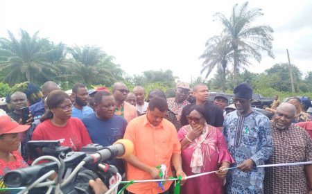 Akpabuyo Chairman, Stakeholders Applaud IFAD for New Market, Solar Borehole in Effanga Offiong