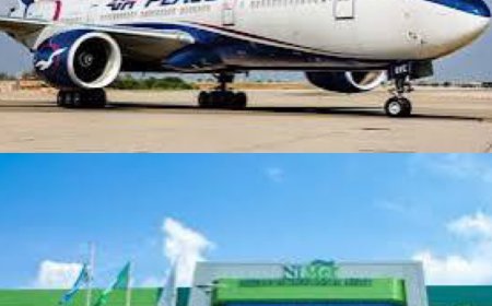 Air Peace Suspends All Flights Across Nigeria Over NiMet Strike, Cites Safety Concerns