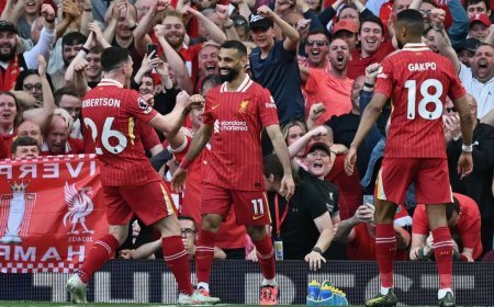 Liverpool Wins 20th English Premier League Title, Trash Tottenham 5-1
