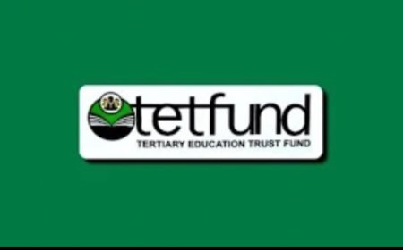 UNICAL, 17 Other Universities To Benefit From FG N10bn Medical Education TETFund