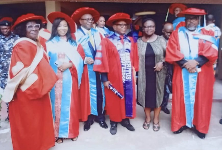 PERSONALITY INTERVIEW: I saw the investiture as Emeritus Professor coming, but didn't know when, Says Prof. Nwamuo