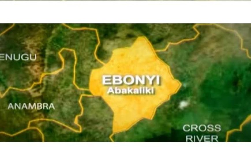 Ebonyi State: Students cry out over neglect of Union Comprehensive Secondary School Obeagu