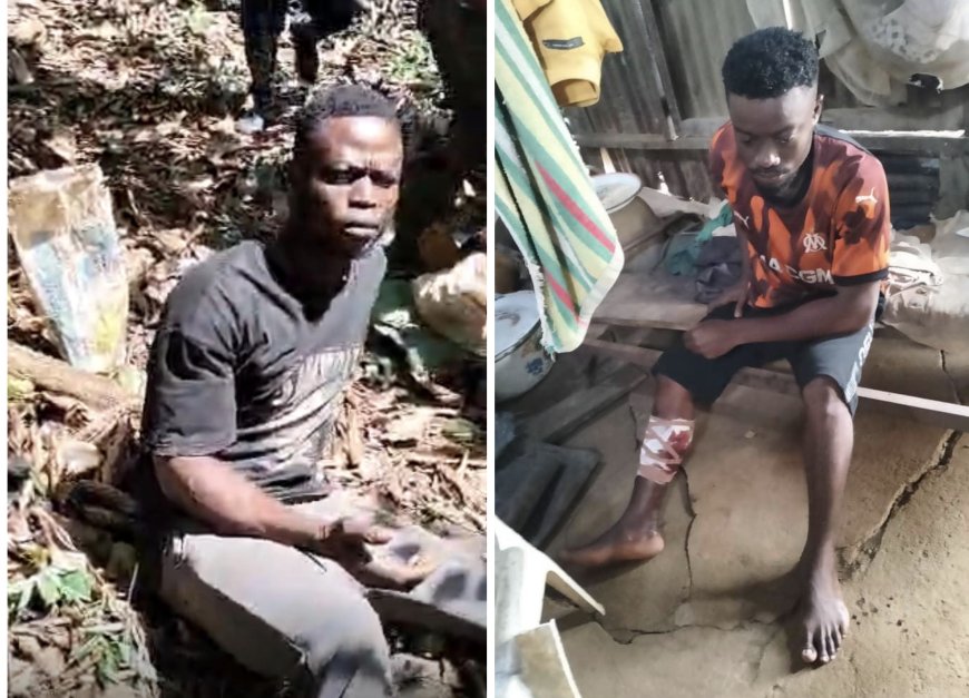 Etung Cocoa Farmers Cry Out to Gov’t Over Oscar Ofuka’s Alleged Reign of Terror