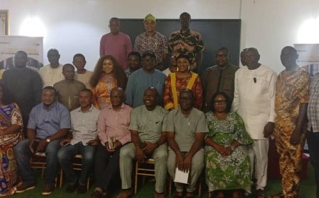 Business: Oil Palm Plantation Can be Cultivated Without Deforestation, Says Solidaridad Programme Manager
