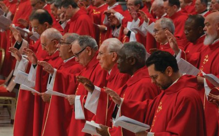 Pope Successor: ‘We want a pope who is full of fire for the kingdom of Christ, Says Cardinal Arinze: