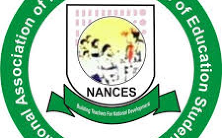 Colleges of Education Can  Now Award Degree Certificates, Says FG