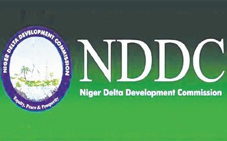 NDDC Warns of Fraudulent Scholarship Scheme