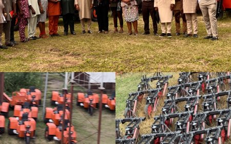 Coffee Farming Gains Momentum in Cross River as State Government Targets Global Export Market