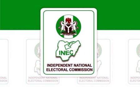 INEC Re-Enlists Labour Party's Abure, PDP's Anyanwu Names On Website