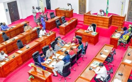 Abia State Assembly Passes 5Bills in One Day