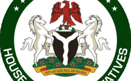 House of Reps Passes National Local Government Electoral Commission  Bill,  38 Others For Second Reading