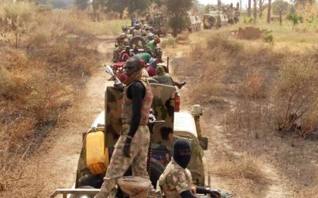 PRESIDENT BOLA TINUBU APPROVES THE ESTABLISHMENT OF FOREST GUARDS