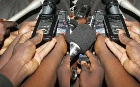 Who is a Journalist?