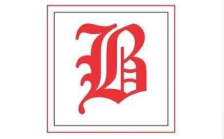 NEWS ANALYSIS: THE BEAGLE NEWS at 2; Why We Came Out