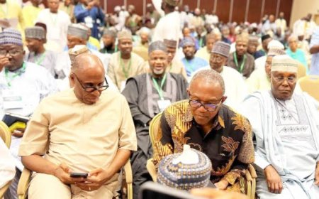 BREAKING: Opposition Coalition Abandons ADC, SDP Set to Register New Party