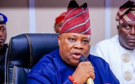 FG Seizes Osun LGCs March, April, May Allocations