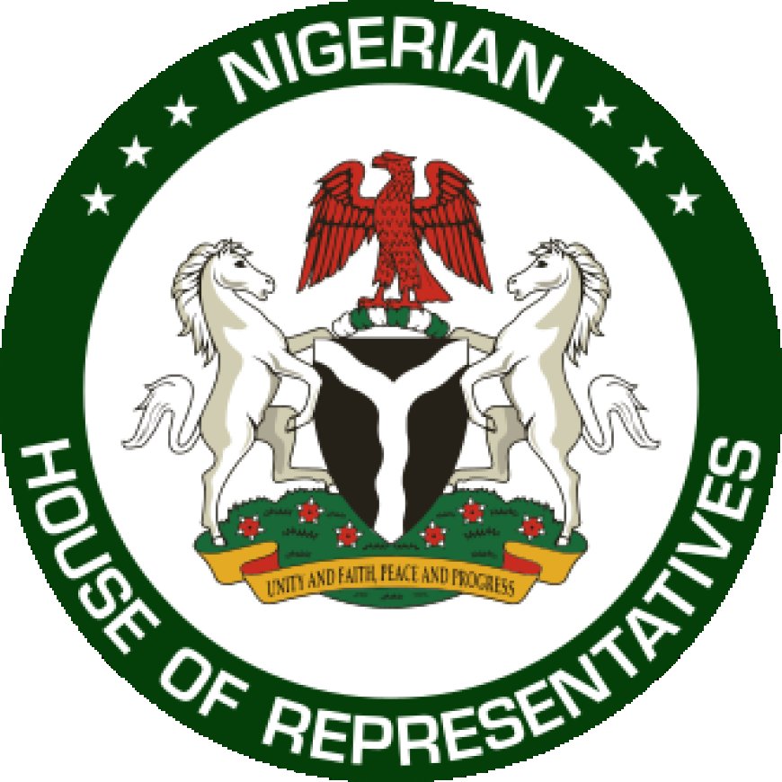House of Reps Passes National Local Government Electoral Commission Bill, 38 Others For Second Reading