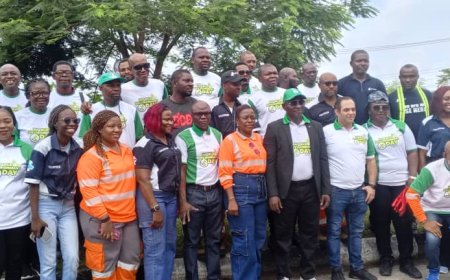 World Env. Day: C'River Set Aside Over 1m Ornamental Trees For Planting, Larfarge Africa Donates 1.2trees