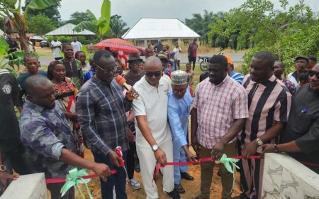 Osusuokpor Community Celebrates as Lawmaker Unveils Borehole Project