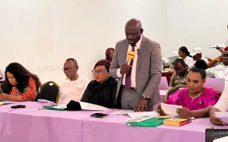 FEATURES: Cross River Rises as Model for State-Led Health Insurance Reform