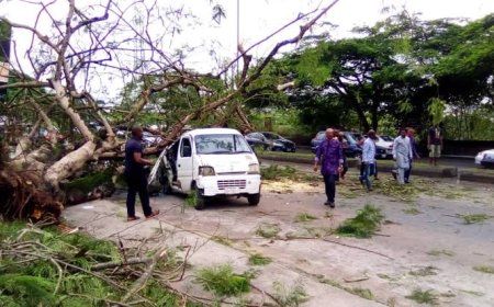 Before the Next Storm: A Call for Urgent Climate Action in Cross River State.