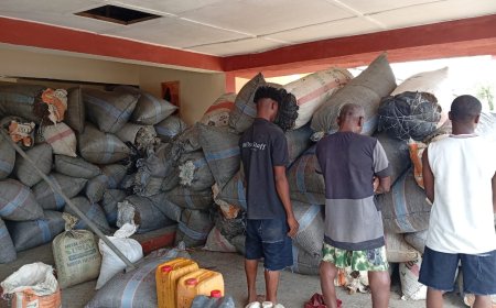 NDLEA Seizes 2.687 Tonnes of Cannabis Sativa, Seeds  in C' River