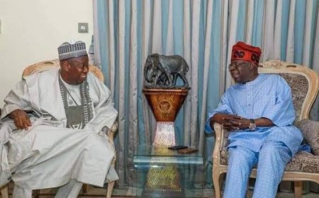 An Open Letter to  President Bola Ahmed Tinubu and Dr. Abdullahi Umar Ganduje, National Chairman of the All Progressives Congress (APC)