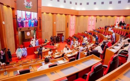 Reverse Degradation, Poverty, Senate Tells New SSDC Board