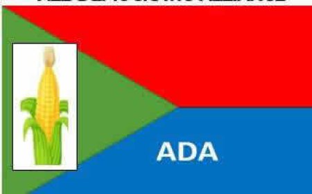 Coalition Applies to INEC for Registration of All Democratic Alliance