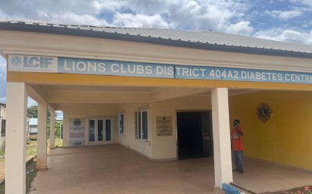 Cross River Partners Lions Club to Launch Dialysis Services in Ogoja