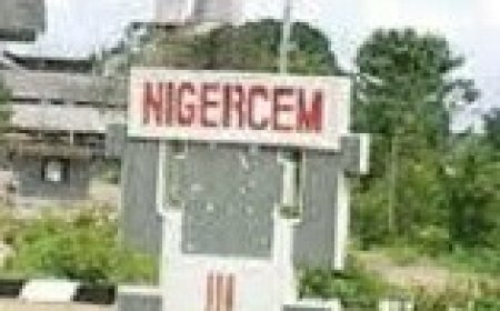 Profs Idike, Odoh, Nwankwo, Nwebonyi, Igariwey, Mbam, Eze, Ogban, Ogbuoji, 6 Others  Make List of Committee Members To Reactivate  NIGERCEM