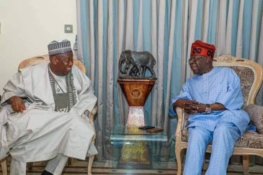 An Open Letter to President Bola Ahmed Tinubu and Dr. Abdullahi Umar Ganduje, National Chairman of the All Progressives Congress (APC)