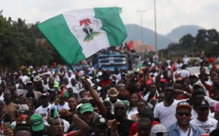THE PERILS OF A ONE-PARTY STATE: WHY NIGERIA MUST GUARD ITS DEMOCRACY