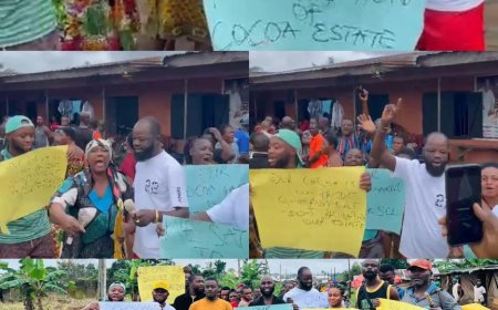 Planned Privatization of Cocoa Estates: Youth Body Slams Agric Commissioner, Says Move Callous, Politically Insensitive