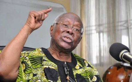 WEEKEND POLITICS: You Can't Defeat Tinubu With A Divided House, Says Bode Geroge