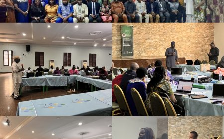 Cross River Charts Bold Vision for Health Reform at Sector-Wide Strategy Workshop